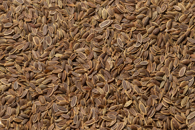 Whole Dill Seed (1 lb.)